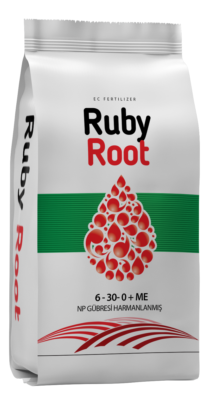 Ruby Root